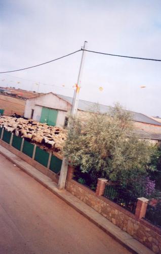 Otra perspectiva del corral ubicado dentro de Buenache de Alarcón