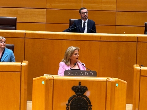 Bonilla defiende en el Senado la Ley Feij&oacute;o para frenar los homenajes a etarras y reforzar la protecci&oacute;n a las v&iacute;ctimas