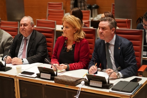 El PP de Cuenca lamenta que Torralba evitara condenar la corrupci&oacute;n y centrara su intervenci&oacute;n en pol&eacute;micas ajenas al objeto de la comisi&oacute;n