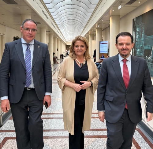 Los senadores del PP por Cuenca denuncian que &ldquo;S&aacute;nchez ha supuesto ocho a&ntilde;os perdidos para nuestra provincia&rdquo;