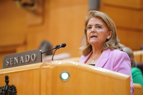 Bonilla reclama al PSOE que apoye la modificaci&oacute;n de la Ley de Extranjer&iacute;a y deje de "buscar excusas" para proteger las fronteras espa&ntilde;olas