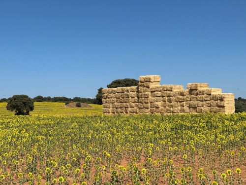 El PP denuncia que la Junta "regale" 500 hectáreas de tierras pertenecientes a una veintena de municipios a un empresario de Cuenca 
